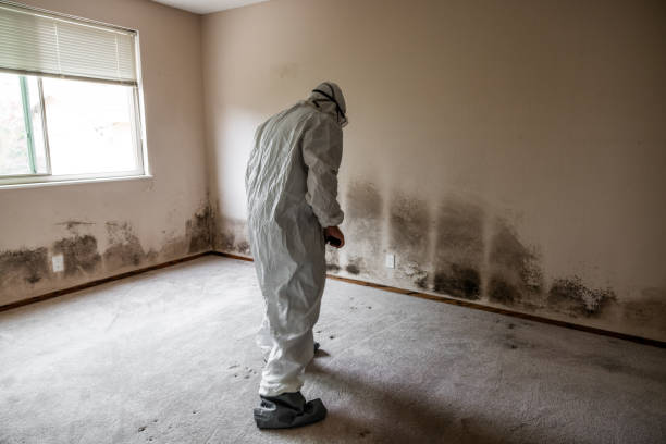 Best Emergency Mold Removal  in Kuna, ID