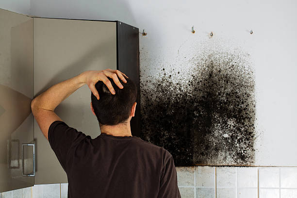 Best Mold Removal Process  in Kuna, ID